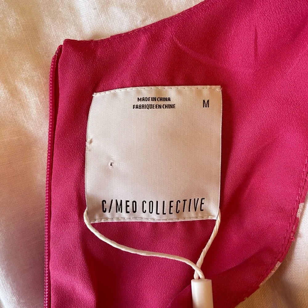 C/Meo  collective Sleeveless ruffle midi dress - Picture 3 of 10